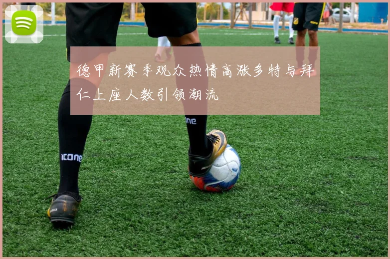 德甲新赛季观众热情高涨多特与拜仁上座人数引领潮流