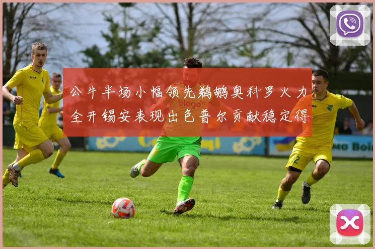 公牛半场小幅领先鹈鹕奥科罗火力全开锡安表现出色普尔贡献稳定得分