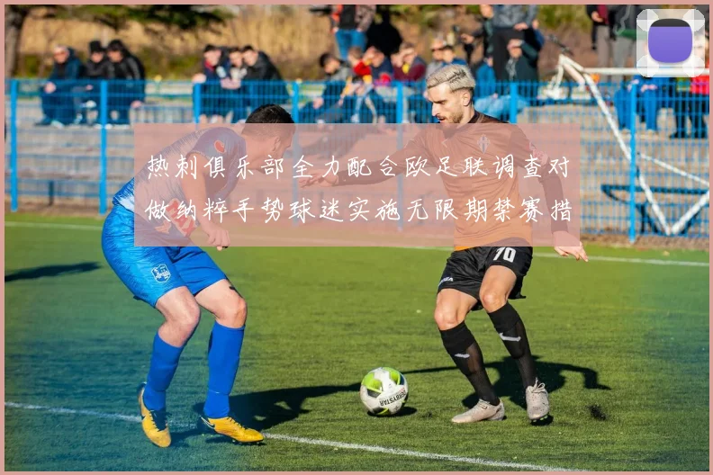 热刺俱乐部全力配合欧足联调查对做纳粹手势球迷实施无限期禁赛措施